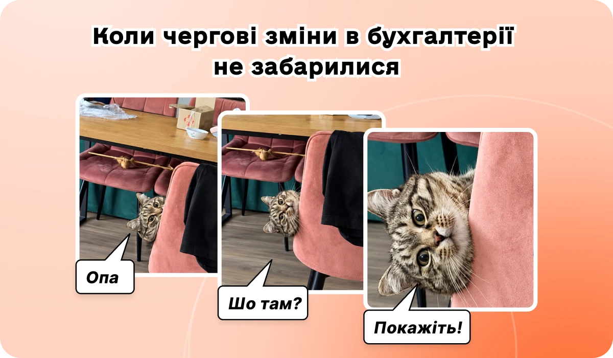 основне зображення для 🚨 Мінфін «чистить» первинку. ПФУ вже показує плани перевірок на IV квартал. 🙋‍♀️ Вечірній бухгалтер від 15.09.2026