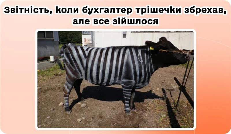 основне зображення для Роботи без акта. Новий звіт для ФОП. ТОП-5 штрафних місць у зарплатній звітності. Приклади і сервіс, коли цифри не сходяться. Зміни для ППР із 26.02. Чек із телефону. 🙋‍♀️ Вечірній бухгалтер від 26.02.2026