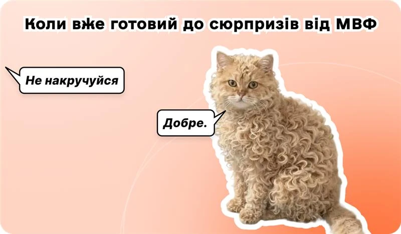основне зображення для 20 МВФ-обов’язків для бізнесу і 15 дедлайнів їх виконання до 2026. ЄП: більші ставки і скасування груп. 🙋‍♀️ Вечірній бухгалтер від 08.12.2025