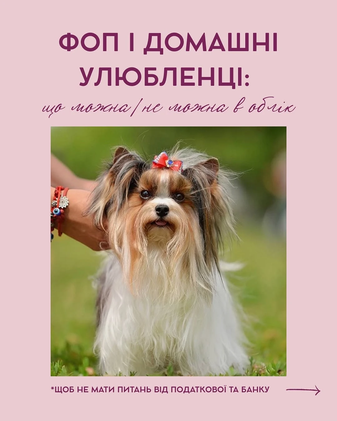 основне зображення для ФОП і домашні улюбленці: коли (не) можна включити в облік