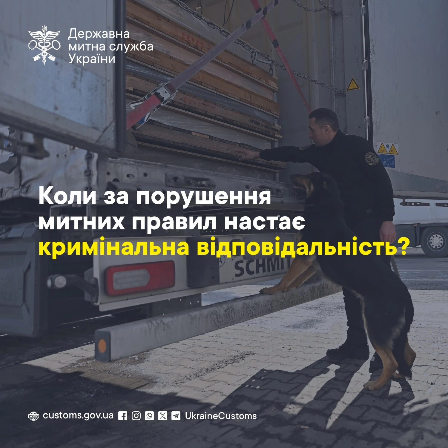 основне зображення для Контрабанда у 2026 році: з якої вартості незаконне переміщення товарів є злочином