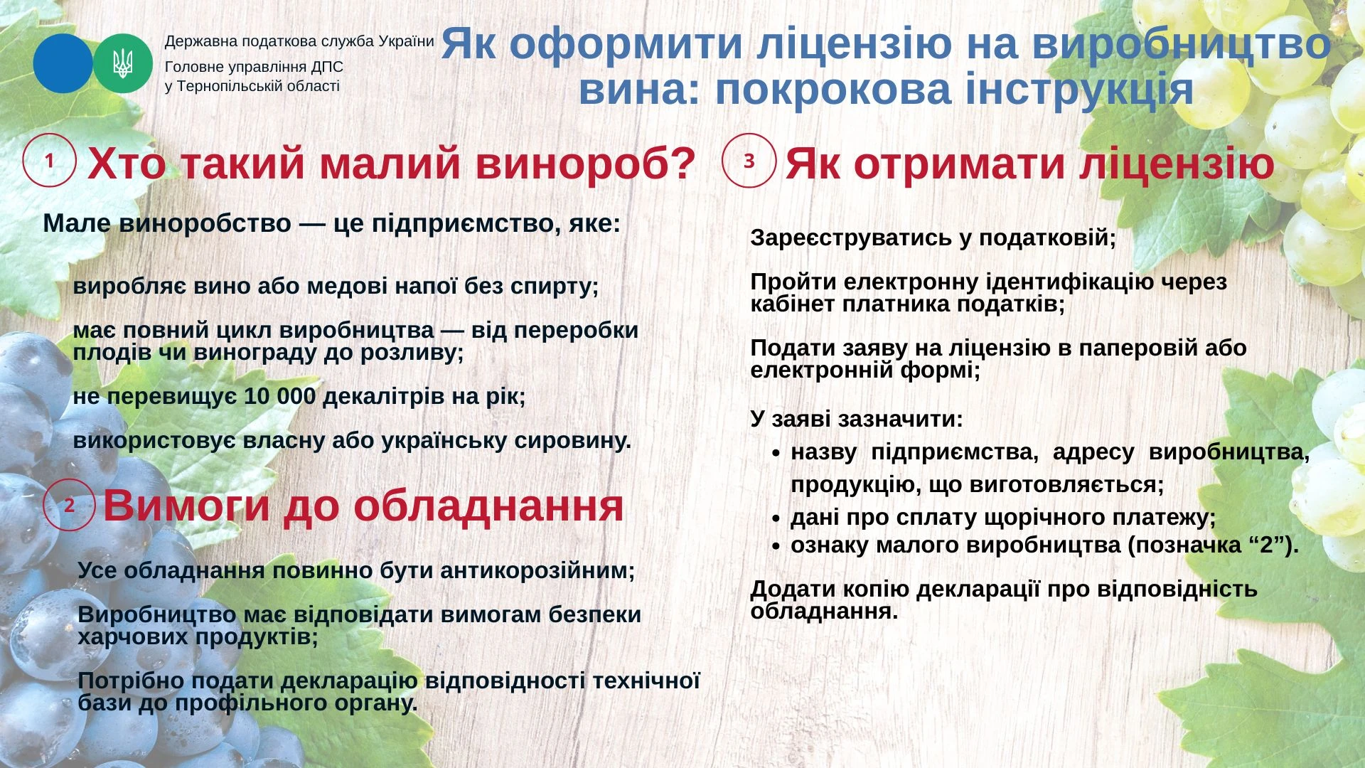 основне зображення для Малий винороб: як почати діяльність (інфографіка)