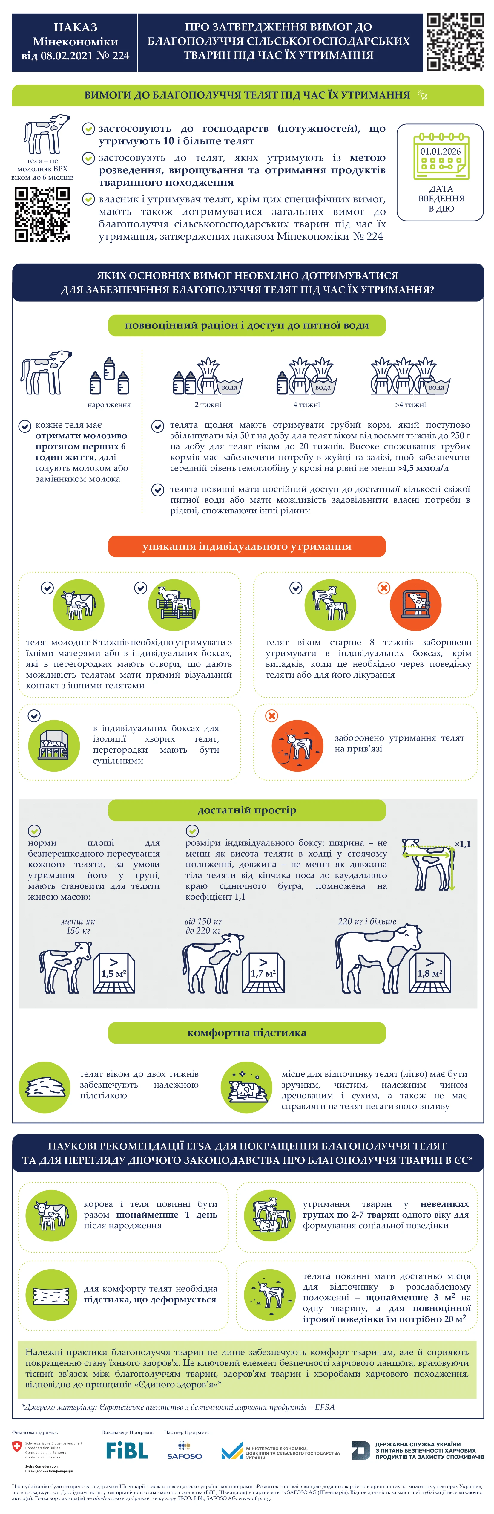 основне зображення для Нові вимоги до благополуччя телят з 1 січня 2026 року – що потрібно знати