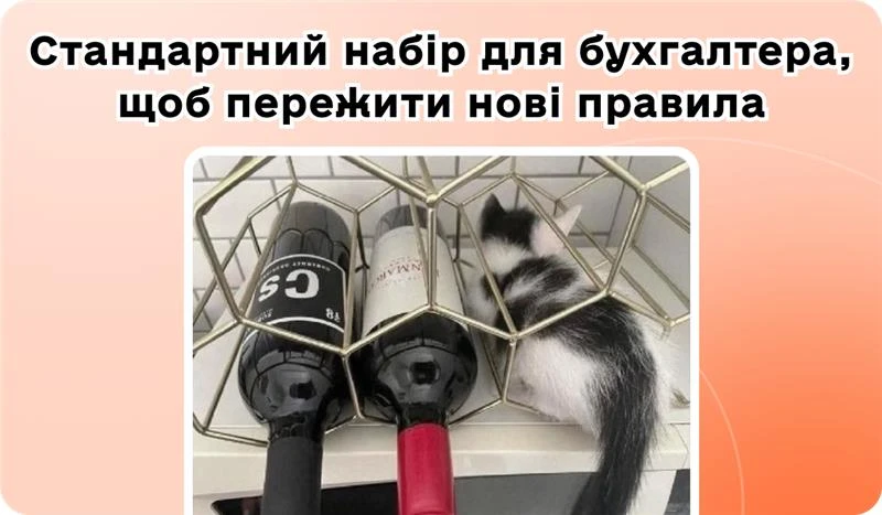 основне зображення для Новий обов’язковий внесок, лікарняні, стаж і зарплата: від «штатки» до перевірок – 2026. Профстандарти для бухгалтера з 2026-го. 5-річний мораторій на перевірки. 🙋♀️ Вечірній бухгалтер від 18.11.2025