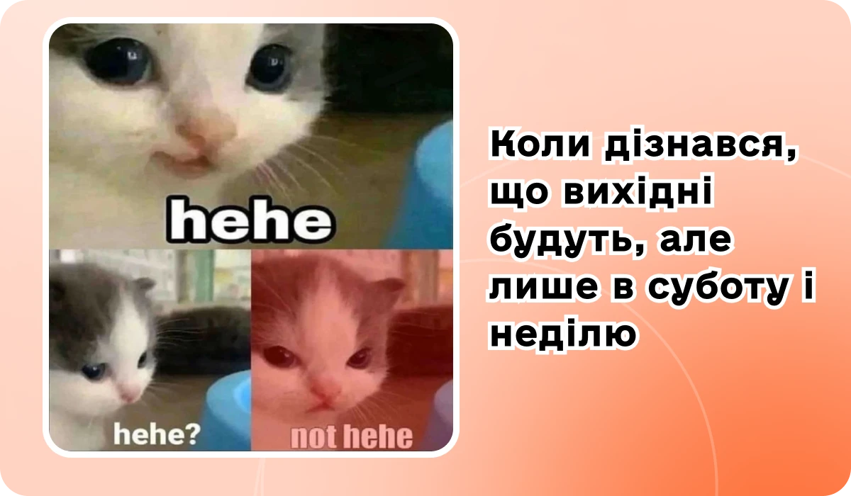 основне зображення для Огляд змін до нових ПН / РК. Святкові дні у жовтні. Про обов’язковість облікової політики. Повідомлення невідповідності платника критеріям ризиковості. 🙋‍♀️ Вечірній бухгалтер від 23.09.2024