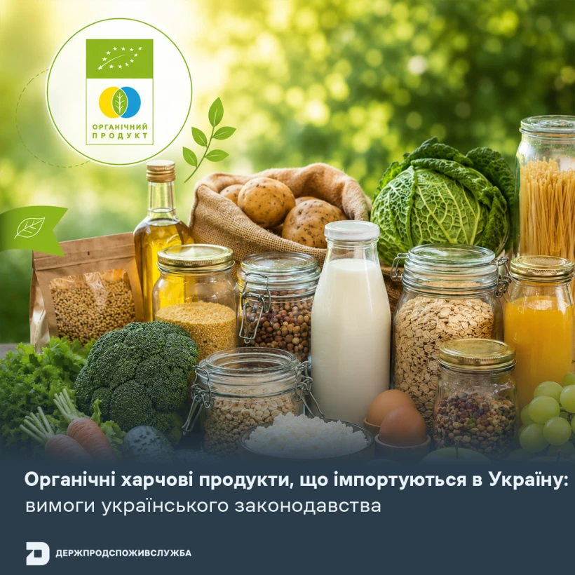 основне зображення для Органічна продукція з-за кордону: що необхідно перевірити імпортерам