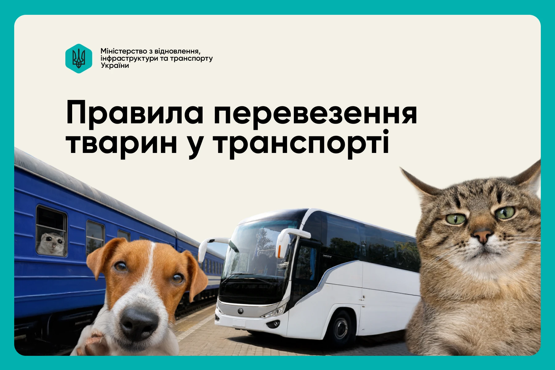 основне зображення для Подорож із домашнім улюбленцем: інфографіка