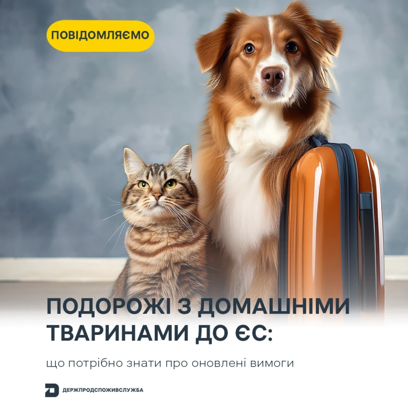 основне зображення для Подорож із улюбленцем до ЄС: тепер діють уточнені правила
