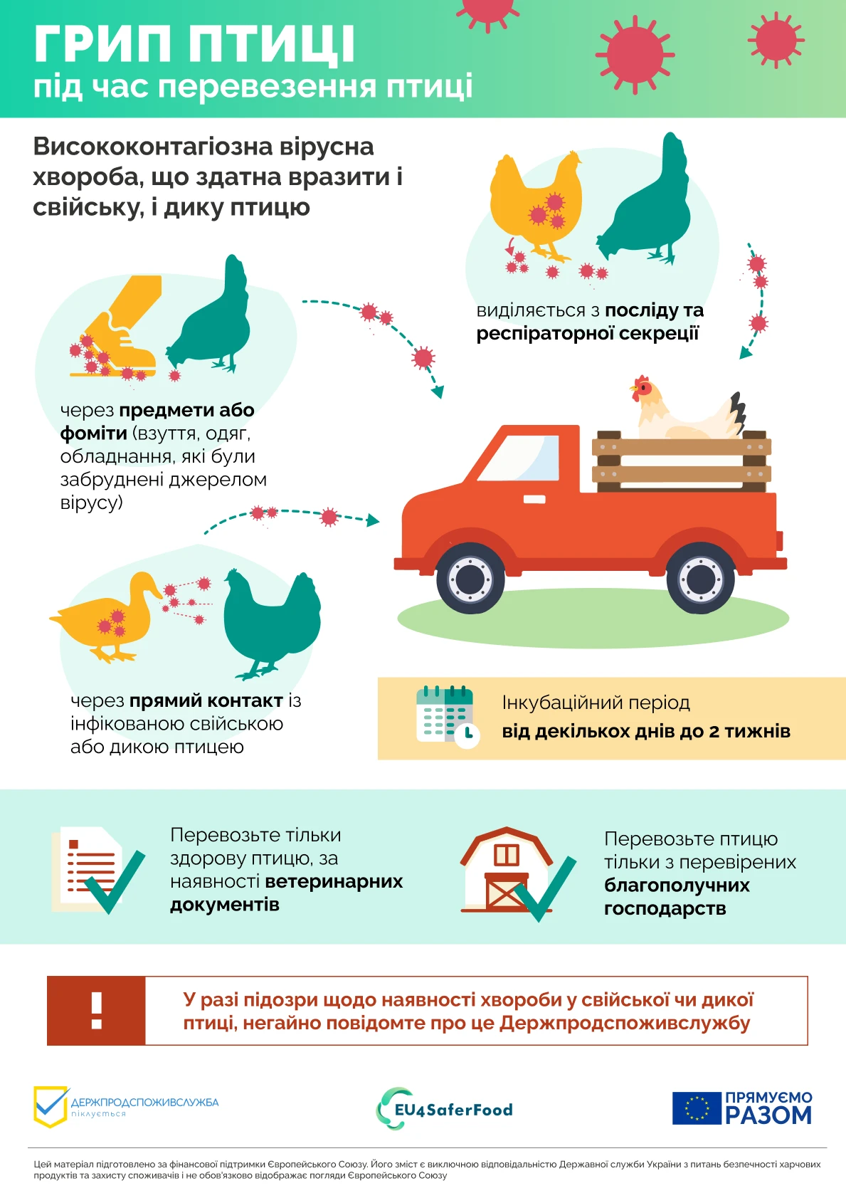 основне зображення для Профілактика грипу птиці під час транспортування