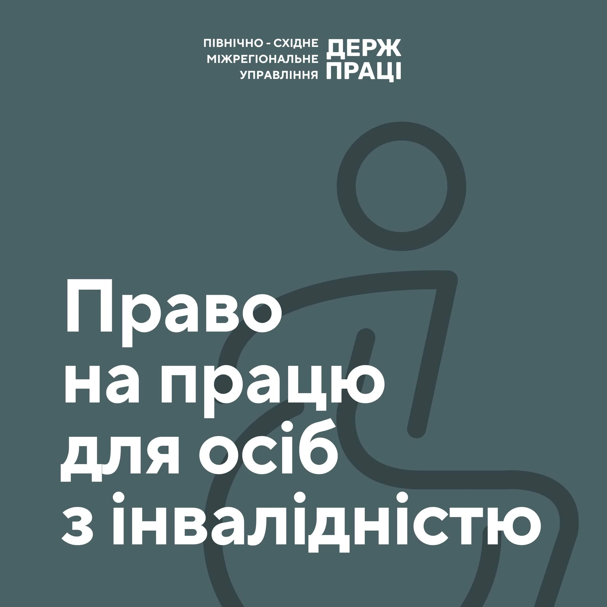 основне зображення для Що гарантує законодавство людям з інвалідністю: інфографіка