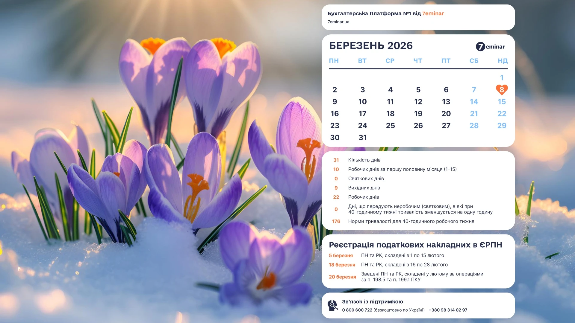 основне зображення для Шпалери для робочого стола бухгалтера на березень 2026