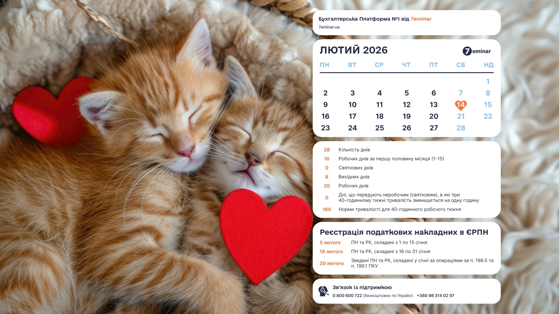 основне зображення для Шпалери для робочого стола бухгалтера на лютий 2026