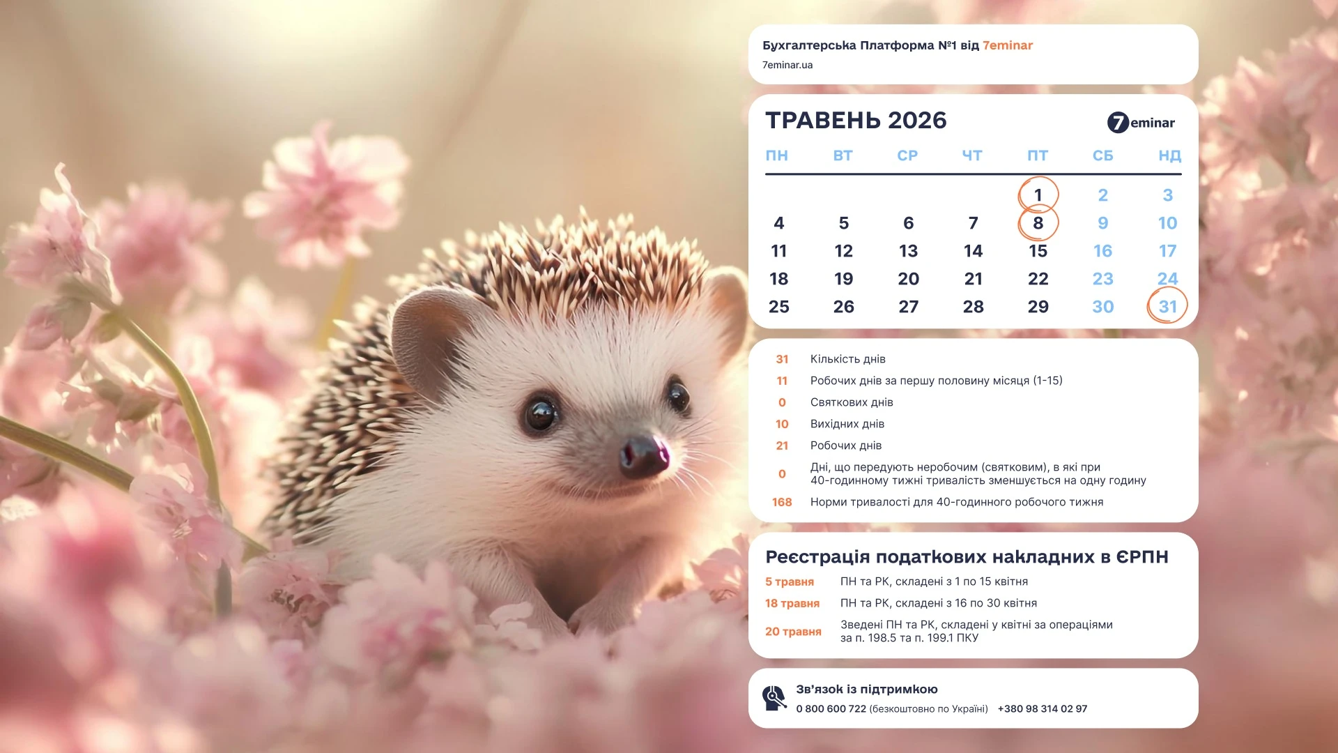 основне зображення для Шпалери для робочого стола бухгалтера на травень 2026