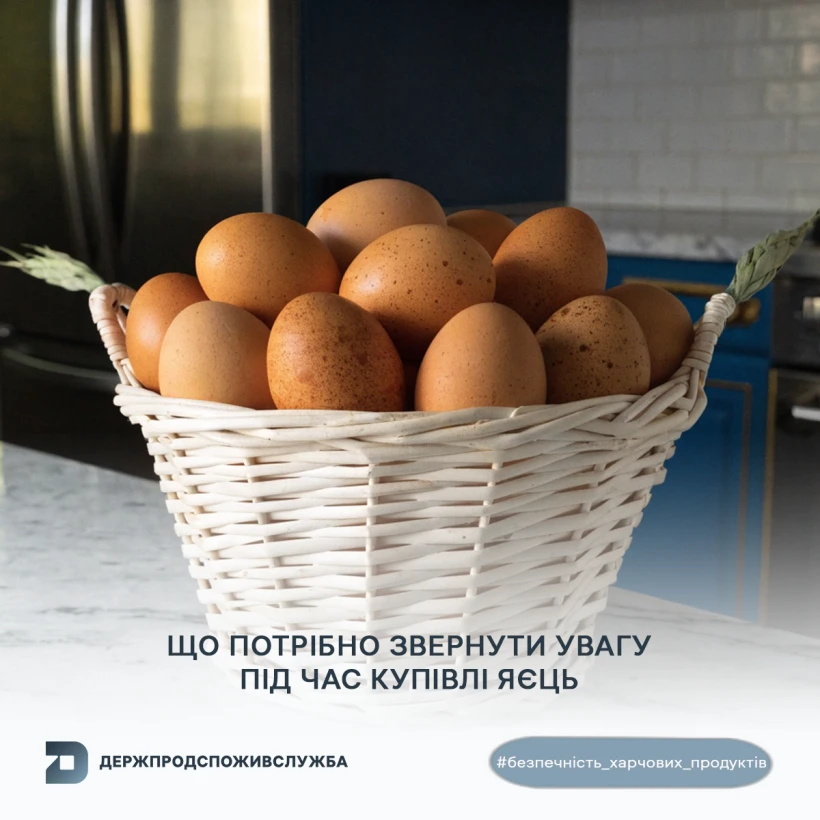 основне зображення для Вимоги до якості та безпечності яєць