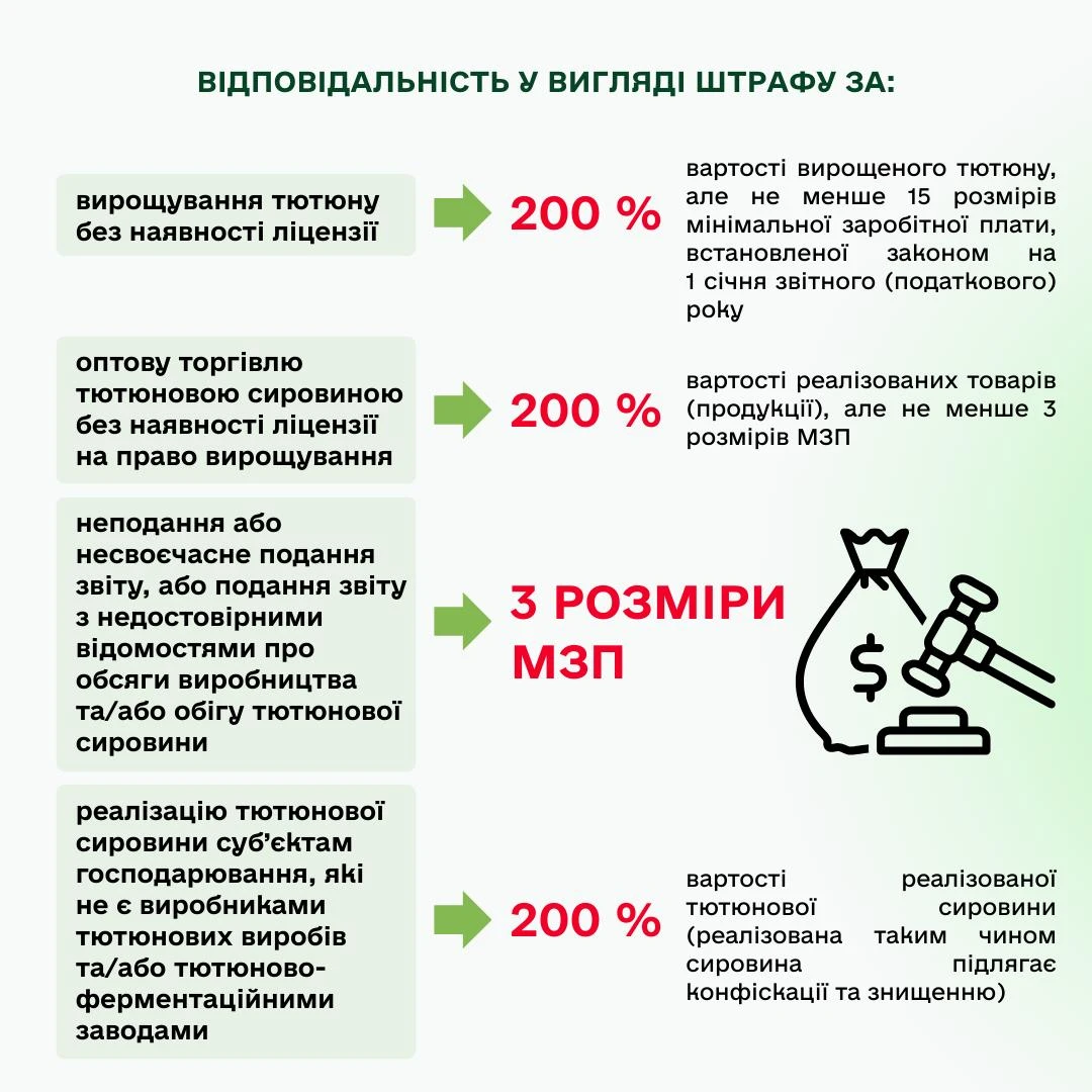 основне зображення для Вирощування тютюну без ліцензії: який накладається штраф