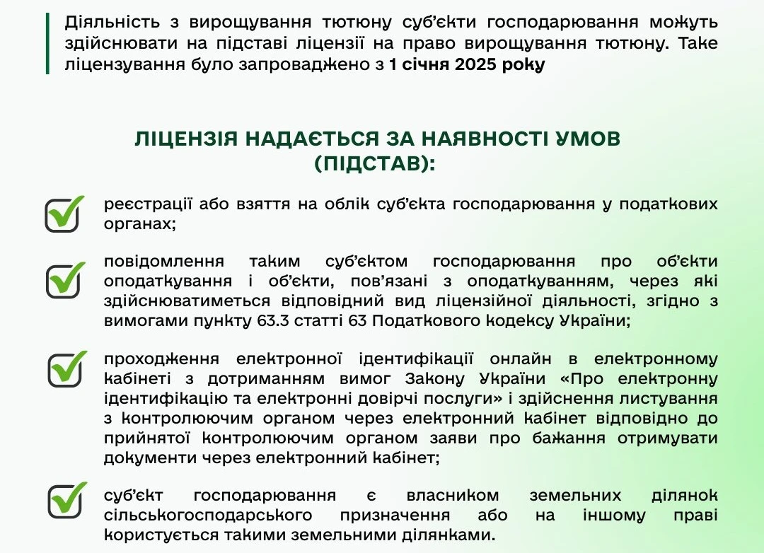 основне зображення для Вирощування тютюну та обіг тютюнової сировини: чи потрібна ліцензія