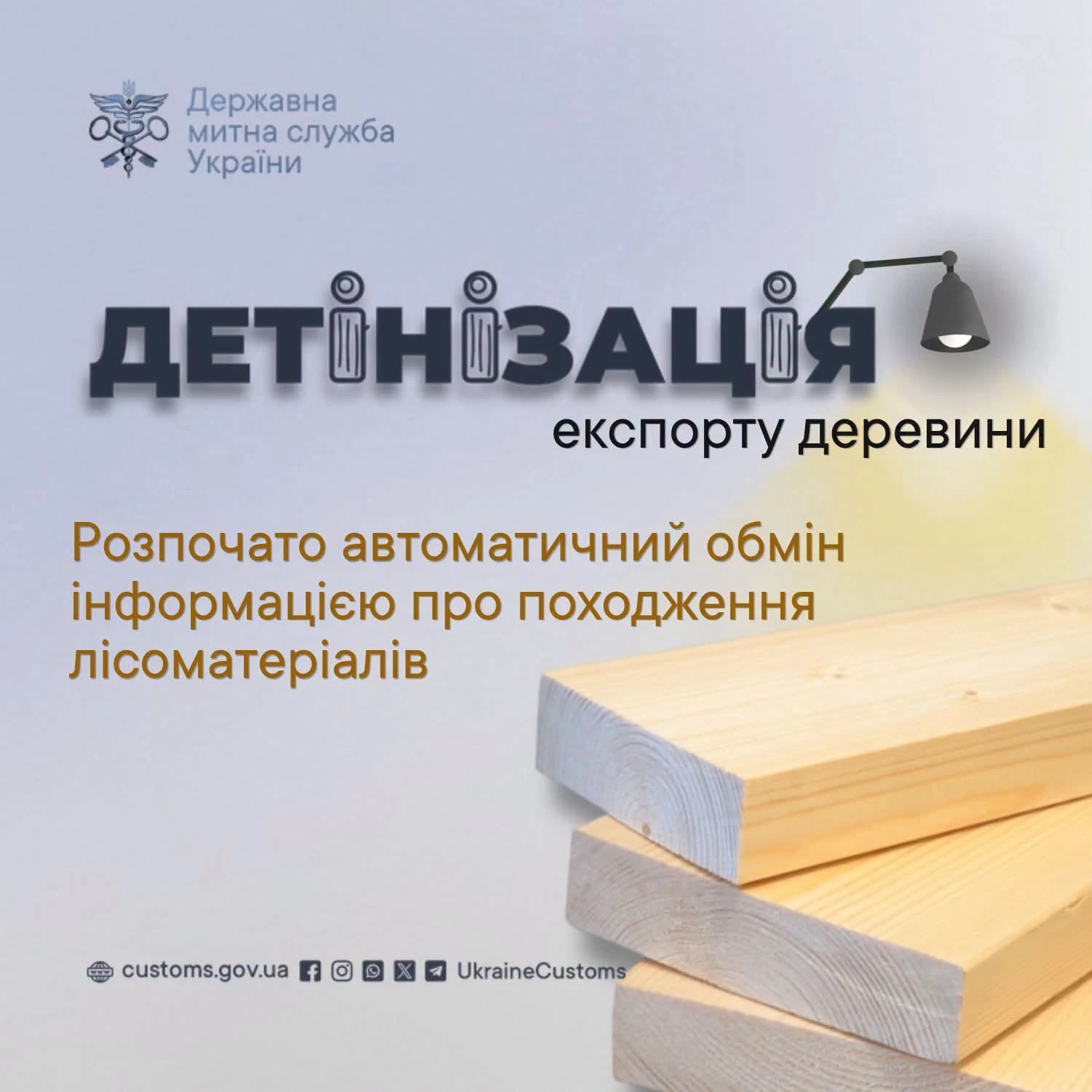 основне зображення для Зафіксовано 657 фактів на 158 млн грн: митниця посилює контроль за експортом деревини