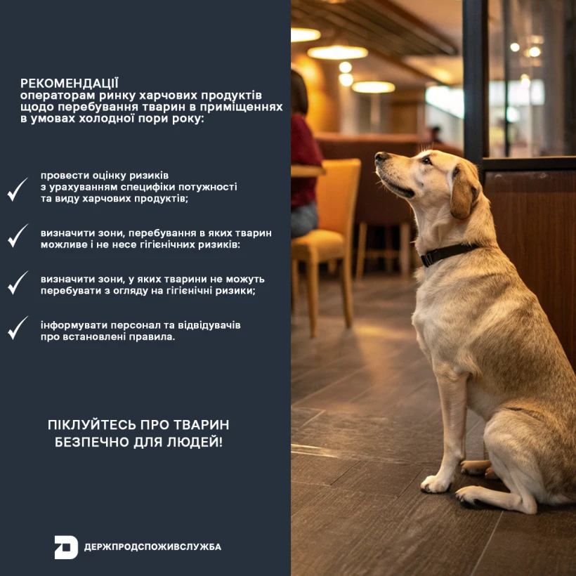 основне зображення для Захист тварин узимку та безпечність їжі: як знайти баланс