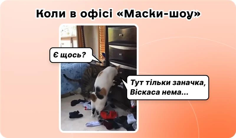 основне зображення для Зміни щодо авансів готівкою у відрядженні, мораторію на перевірки та критичності. «Маски-шоу» або обшук у компанії. Штрафи, Е-ТТН і нові обов’язки з грудня 2025-го. 🙋‍♀️ Вечірній бухгалтер від 19.11.2025